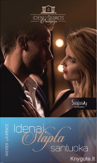  Andrea Laurence - IDENAI - SLAPTA SANTUOKA